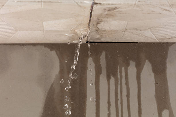 Professional Burst Pipe Cleanup technician working in Olympia, WA